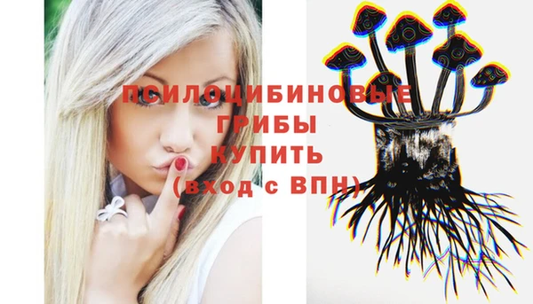 бошки Заволжье